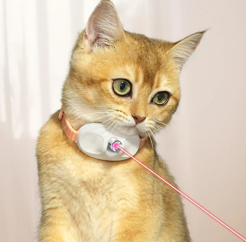 Collar de Juego Laser para Mascotas