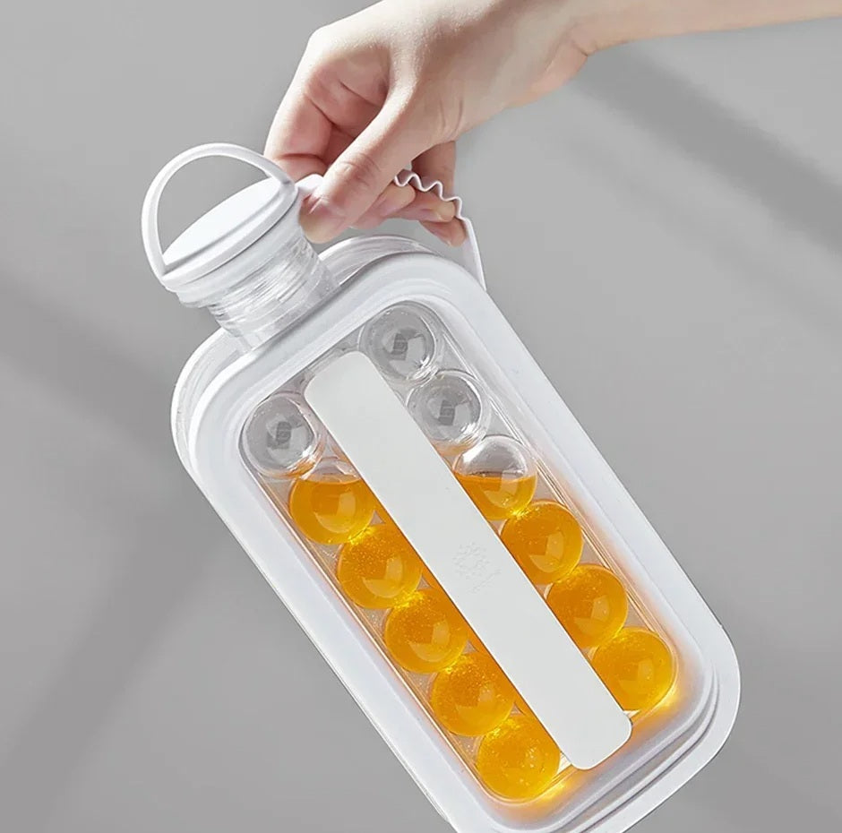 Botellas para hacer Hielo