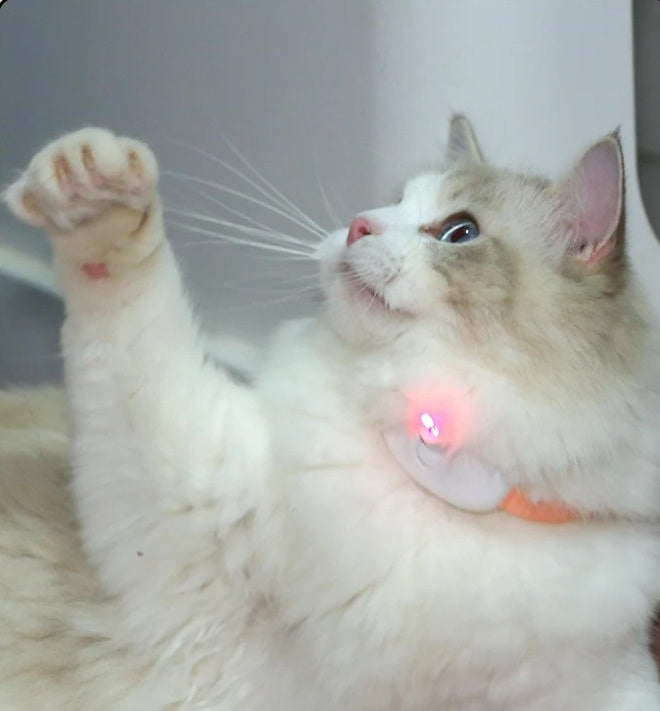 Collar de Juego Laser para Mascotas