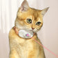 Collar de Juego Laser para Mascotas