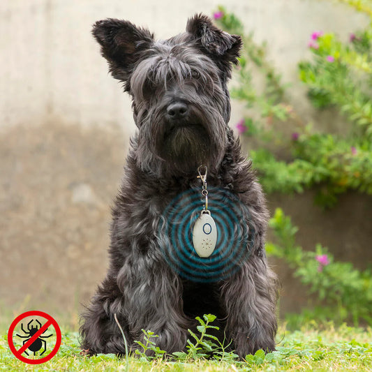 Collar Ultrasónico Para Tu Mascota